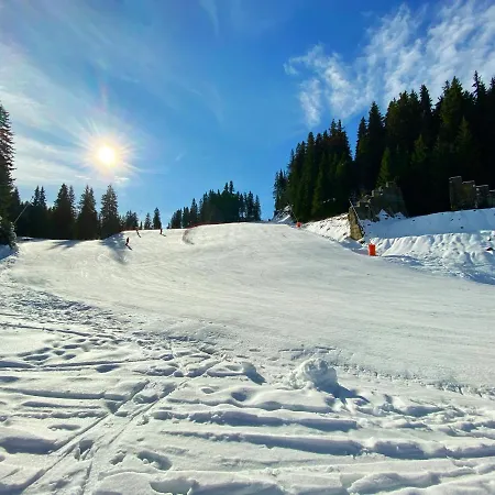 Papa Moose بامبوروفو