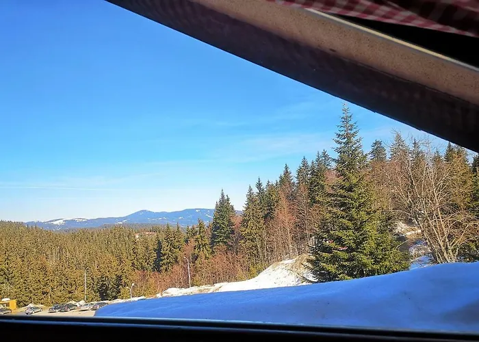 Papa Moose * Pamporovo