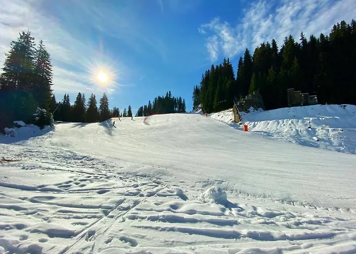 Papa Moose Pamporovo